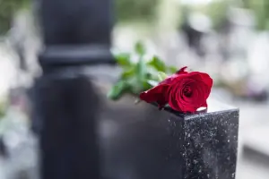 Rose on grave