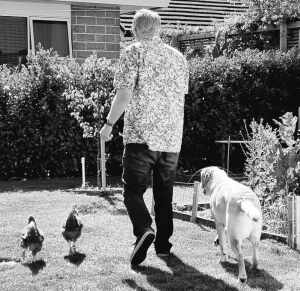 At home with chickens and dog